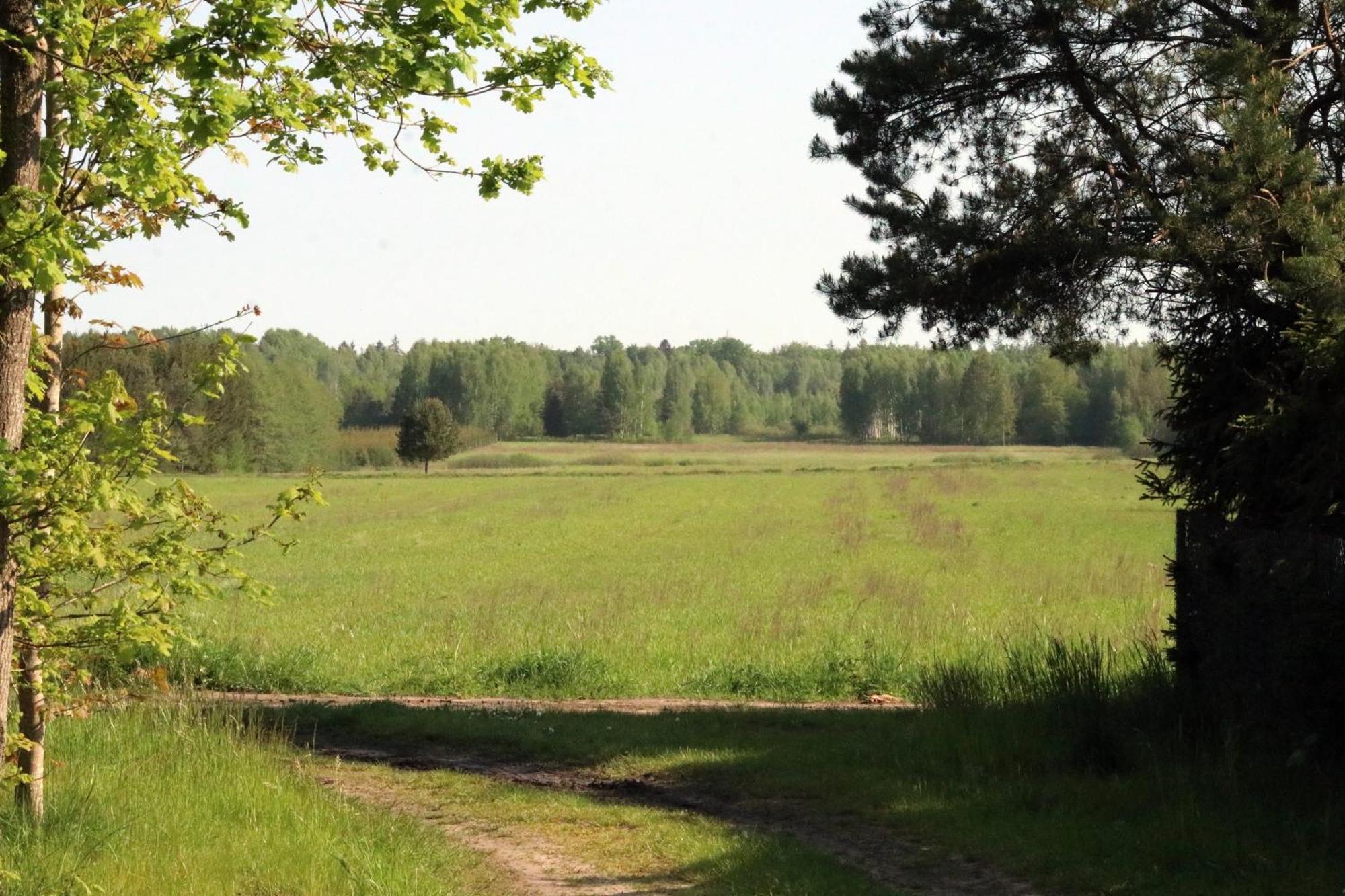 Hotel Debowa Dziupla à Białowieża Extérieur photo