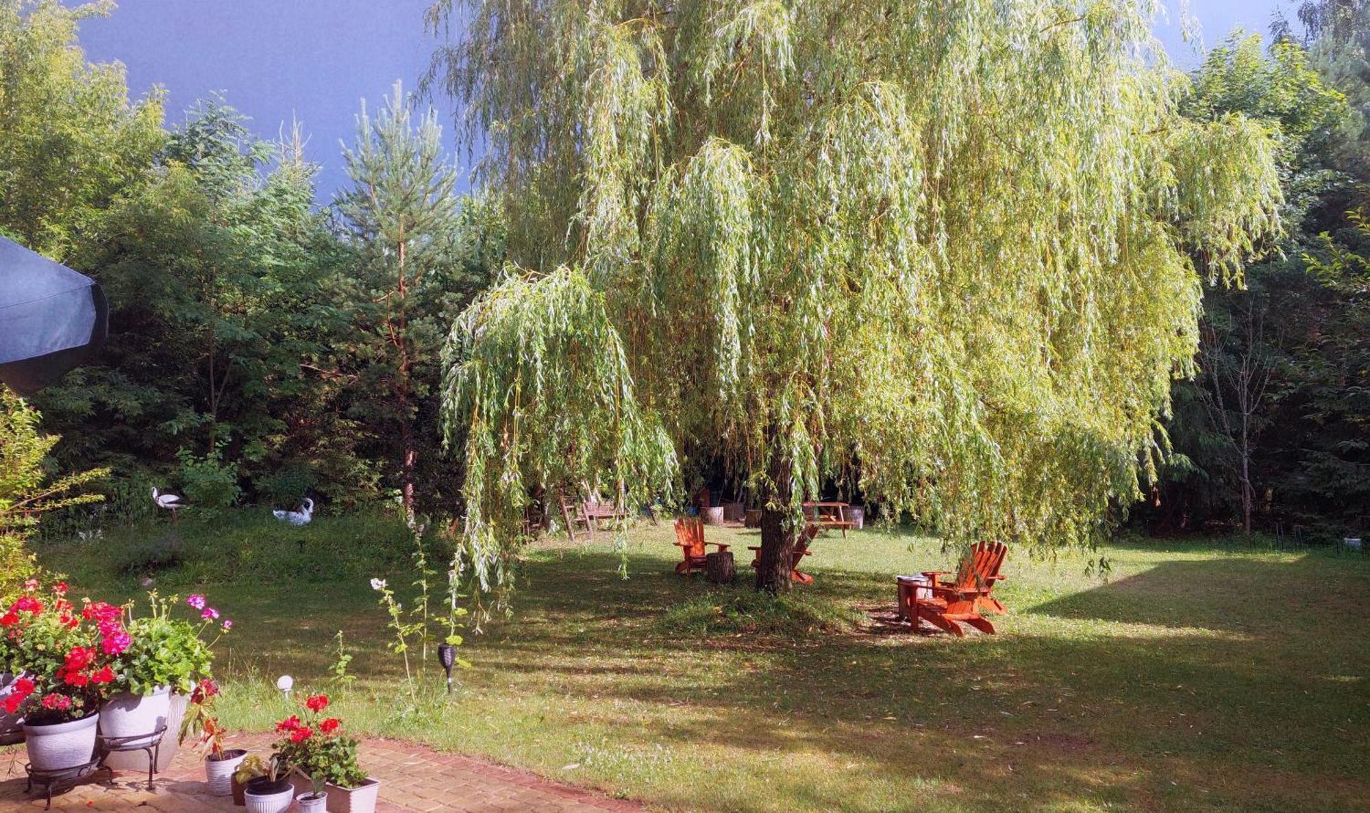 Hotel Debowa Dziupla à Białowieża Extérieur photo
