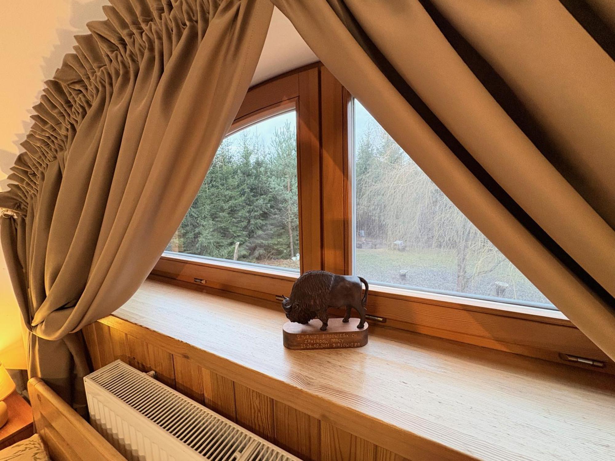 Hotel Debowa Dziupla à Białowieża Extérieur photo